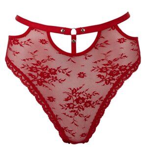 Killstar ✦ Sheer Evil Red Lace Panty ✦ Gothic Mesh Floral Briefs NWT Deadstock